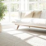 PuriCare y DUALCOOL ThinQ