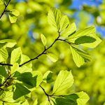 Nuevo dispositivo que acumula el CO2