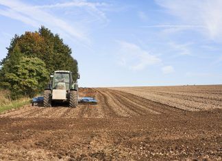 Reacción en cadena de la polimerasa