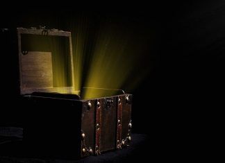 Lo nuevo de McIntosh