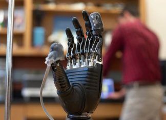 E-dermis, la piel electrónica de prótesis que permite sentir dolor