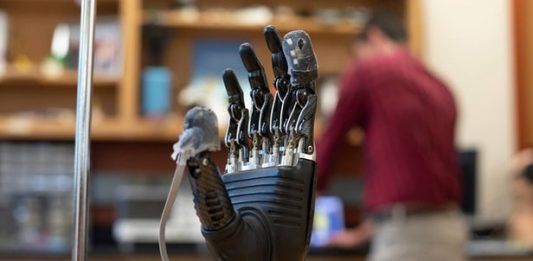 E-dermis, la piel electrónica de prótesis que permite sentir dolor