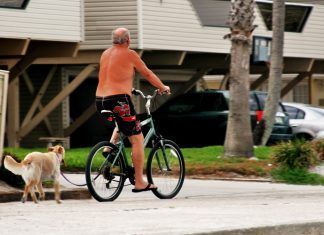 Los 5 dispositivos GPS