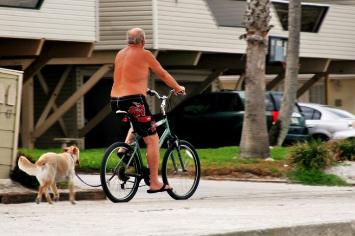 Los 5 dispositivos GPS