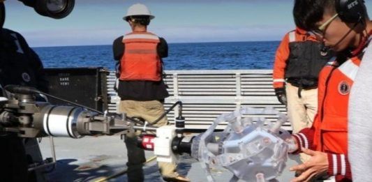 Diseñan brazo robótico para capturar especies marinas frágiles