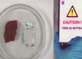 Diseñan nariz artificial que advierte si la comida está dañada