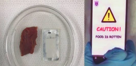 Diseñan nariz artificial que advierte si la comida está dañada