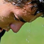 Diseña parche capaz de analizar el sudor para detectar enfermedades