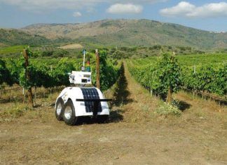 Conoce a VineScout, el robot agricultor diseñado para cuidar los viñedos