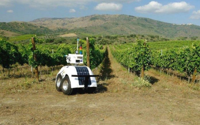 Conoce a VineScout, el robot agricultor diseñado para cuidar los viñedos