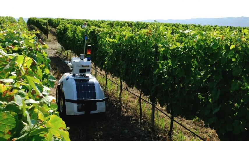 Conoce a VineScout, el robot agricultor diseñado para cuidar los viñedos