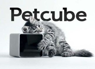 Los 10 mejores gadgets para mascota