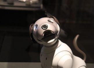 gadgets para mascotas