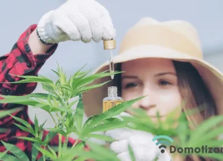 revolución del CBD en la era tecnológica